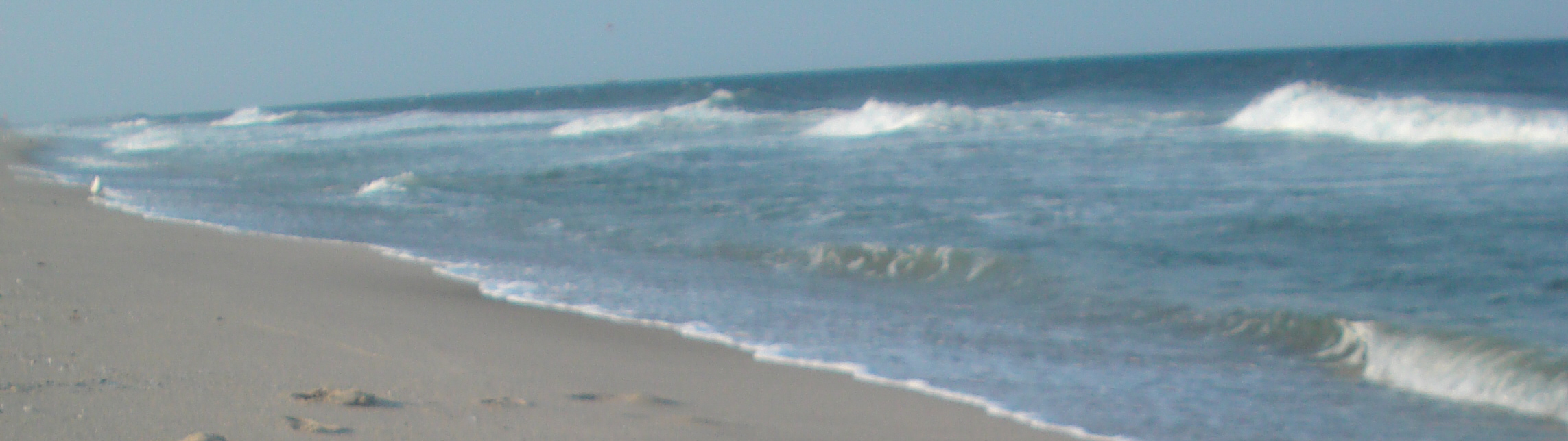 Barefoot on the Sand